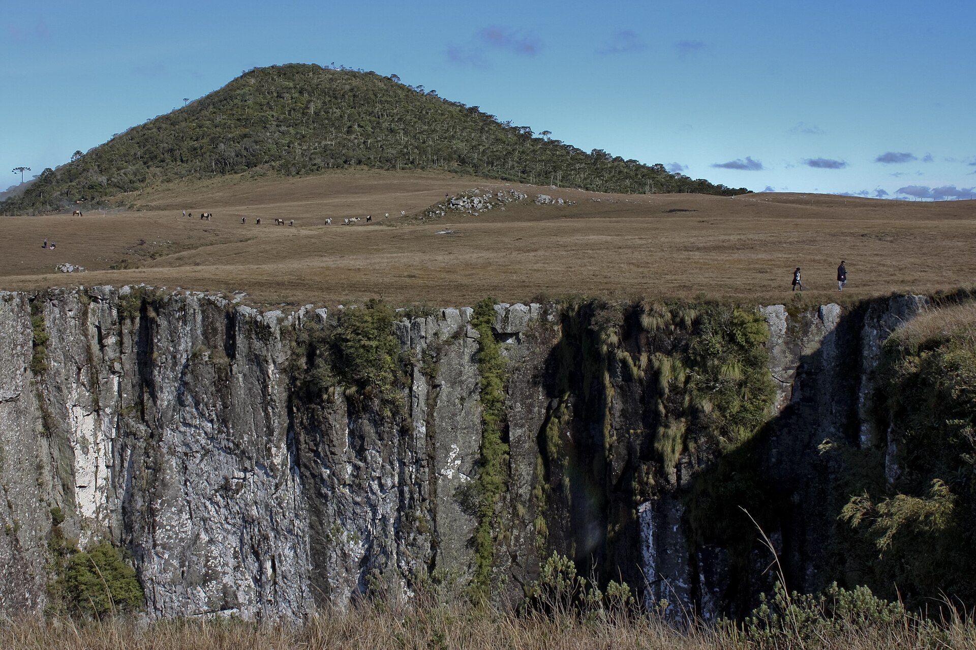 Imagem de referência relacionada a Pico do Monte Negro, item descrito como registro de referência sobre Pico do Monte Negro, organizado a partir de dados estruturados abertos