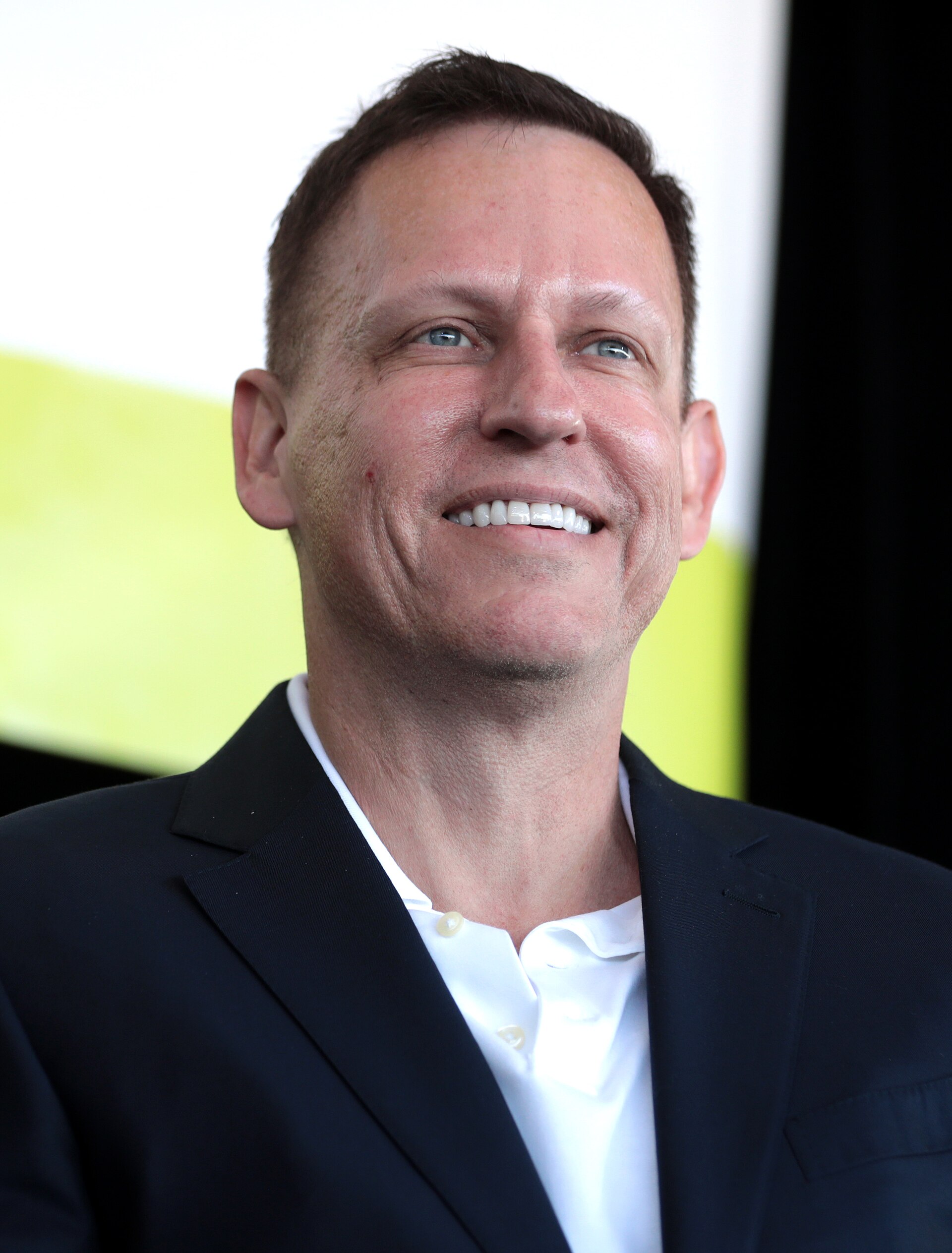 Imagem de referência relacionada a Peter Thiel, item descrito como empreendedor e capitalista de risco germano-americano (n. 1967)
