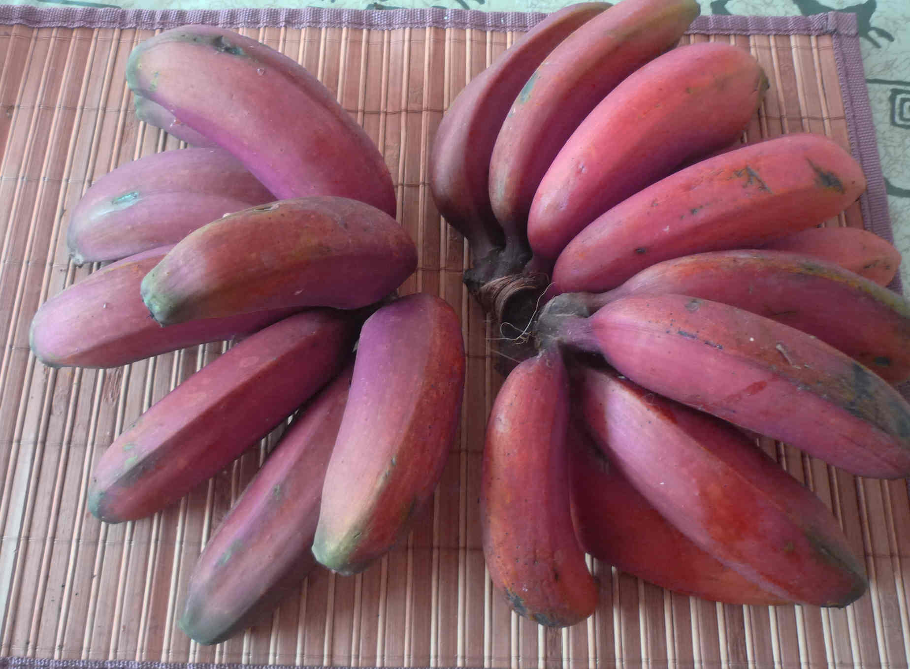 Imagem de referência relacionada a Banana-maçã, item descrito como espécie de planta