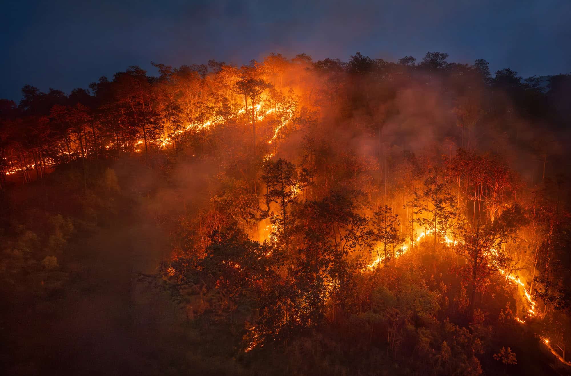 Super El Niño bate recorde e deve se intensificar até dezembro