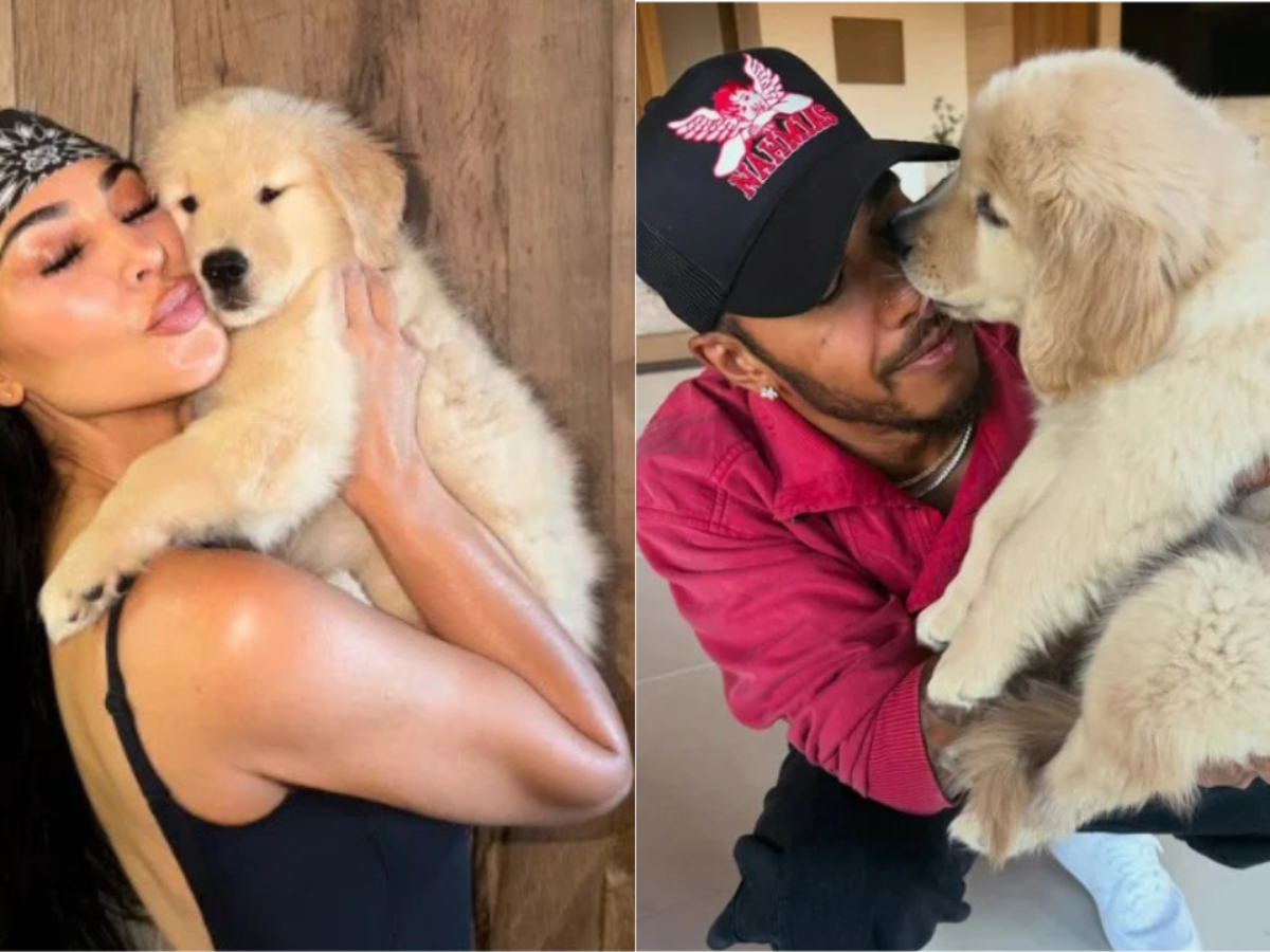 Lewis Hamilton deu cachorrinha aos filhos de Kim Kardashian