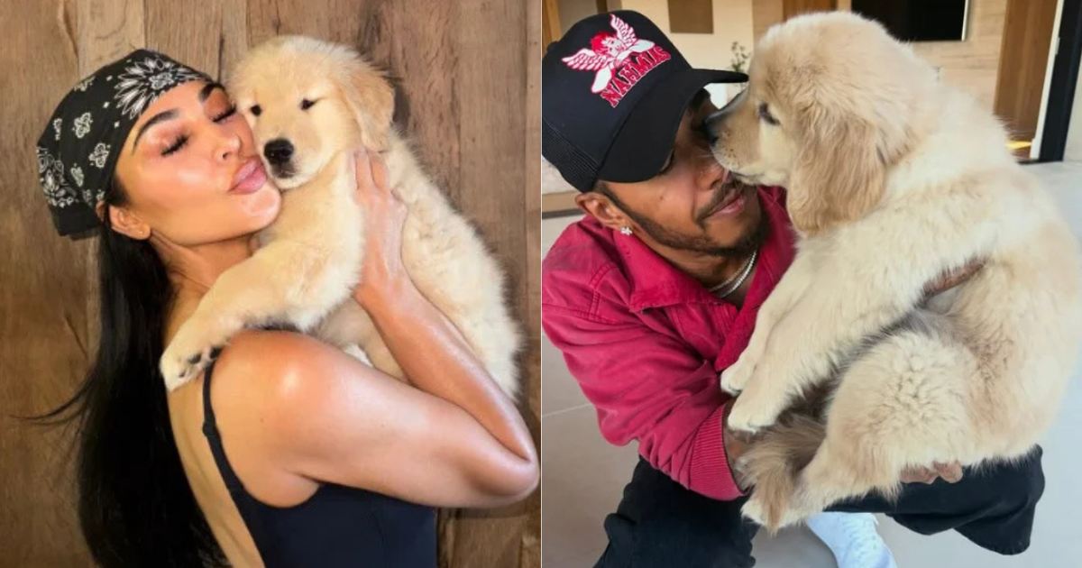 Lewis Hamilton deu cachorrinha aos filhos de Kim Kardashian
