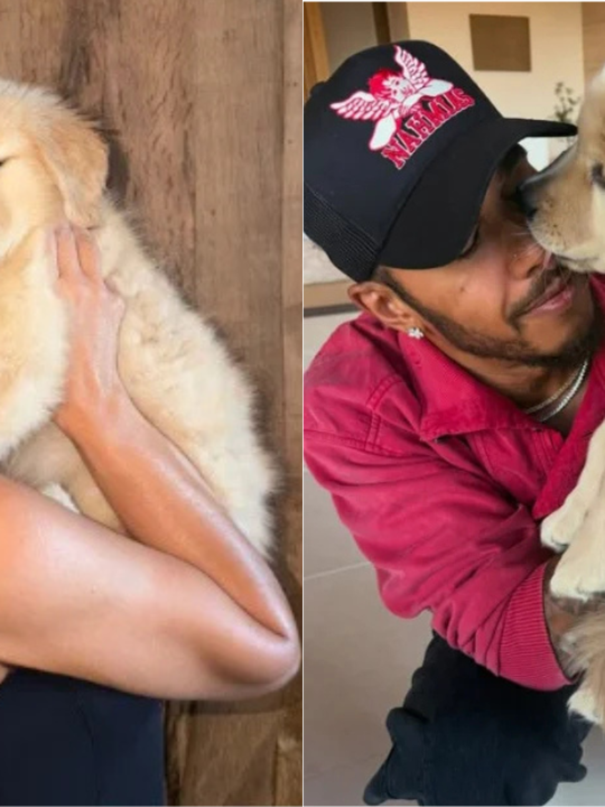 Lewis Hamilton deu cachorrinha aos filhos de Kim Kardashian