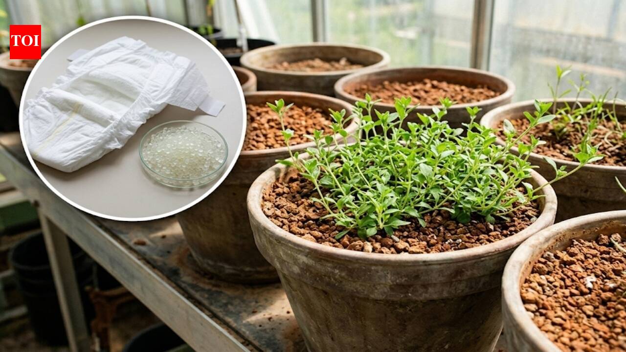 Em 2010, pesquisadores misturaram gel de fralda recuperado ao solo de uma mina em Portugal; os vasos tratados desenvolveram cobertura vegetal mais rapidamente, e todos os solos amendoados foram totalmente cobertos até o dia 85.