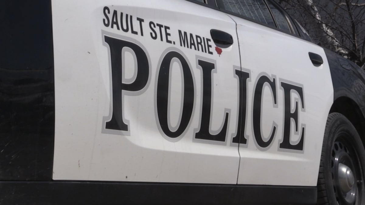 Sault man charged with numerous counts of indecent exposure