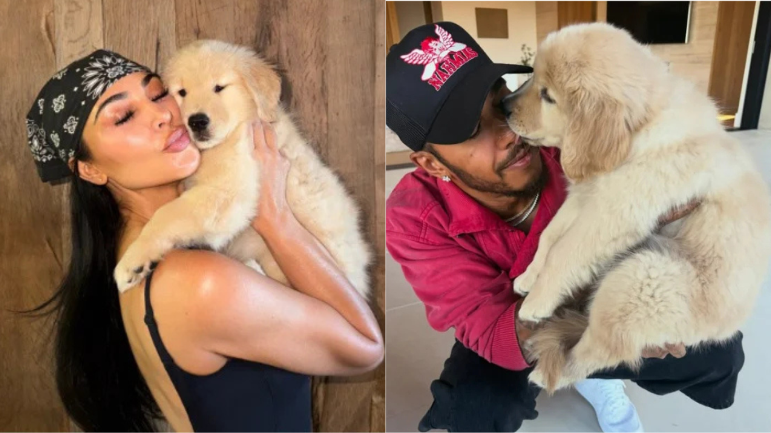 Lewis Hamilton contou que deu a cachorrinha Halo aos filhos de Kim Kardashian