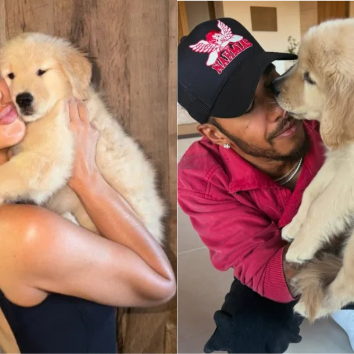 Lewis Hamilton deu cachorrinha aos filhos de Kim Kardashian