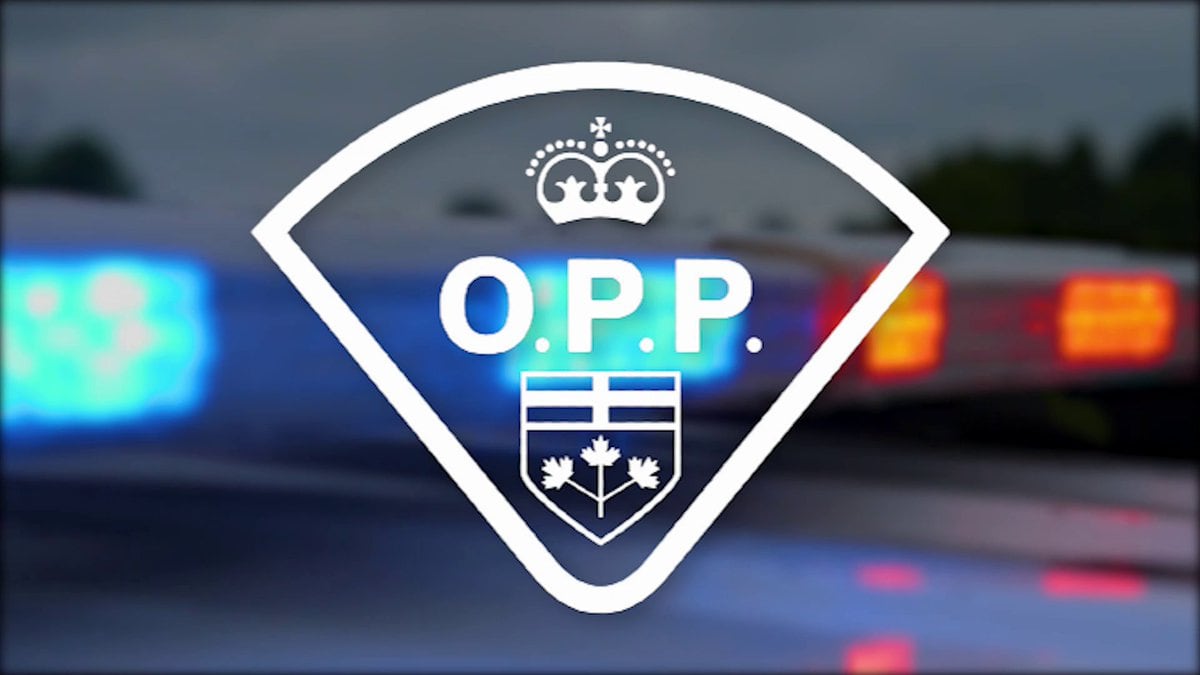 Kitchener man, 57, dies after being struck by vehicle on Highway 85